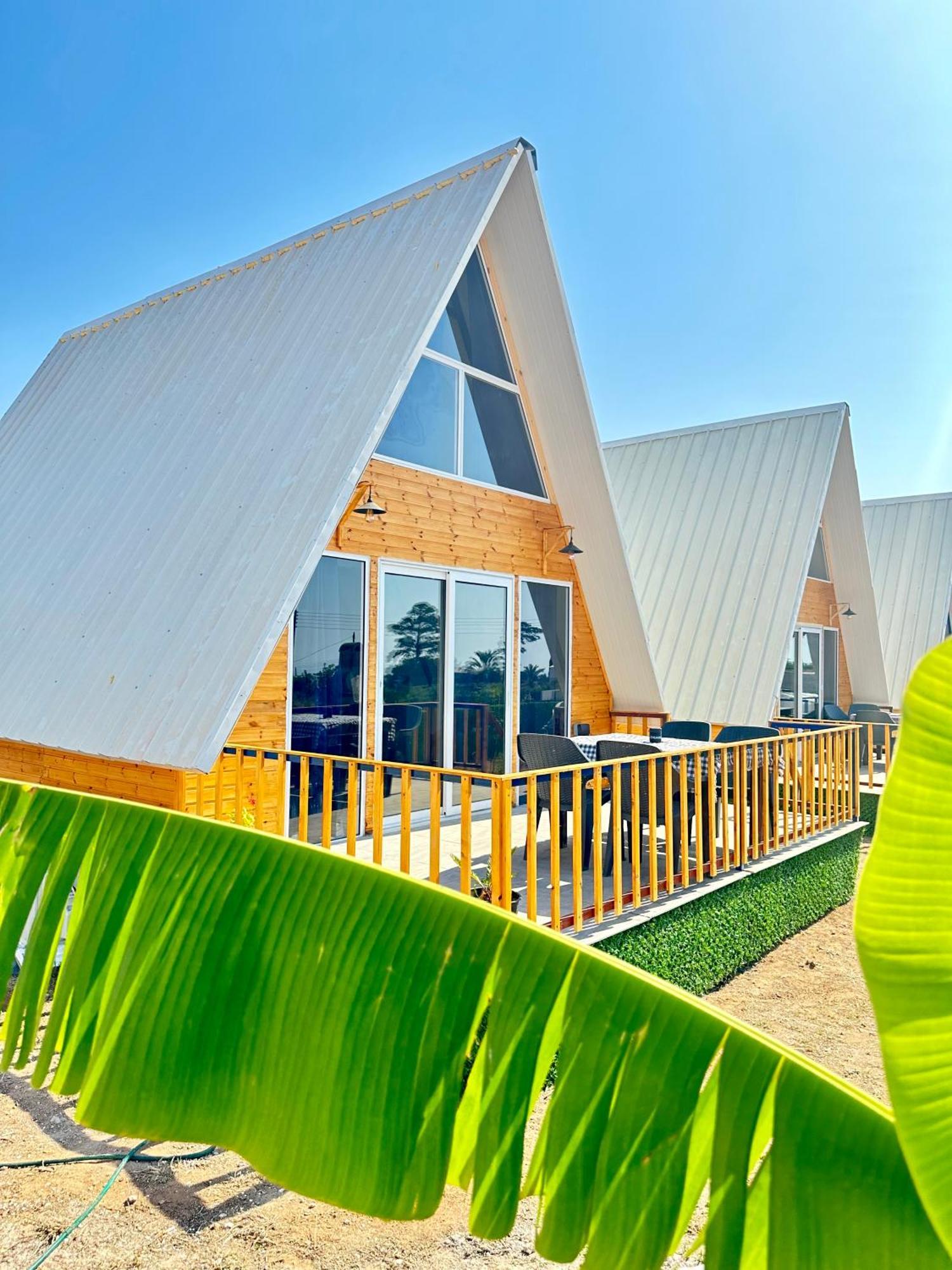 Loft Karpasia Rizokarpaso Ngoại thất bức ảnh